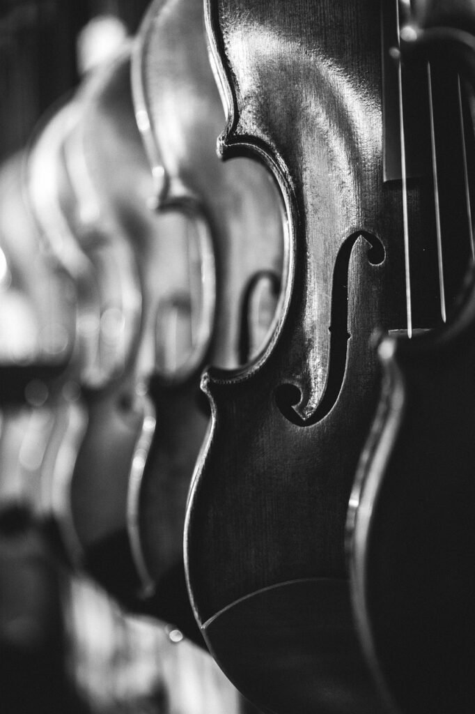 violins, instruments, music